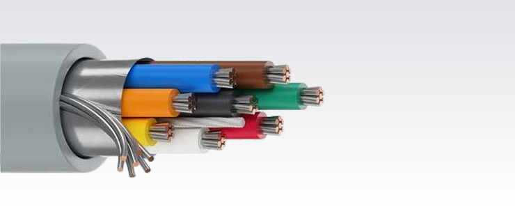 OSC8-24-YV-GRY-Eca (9538)